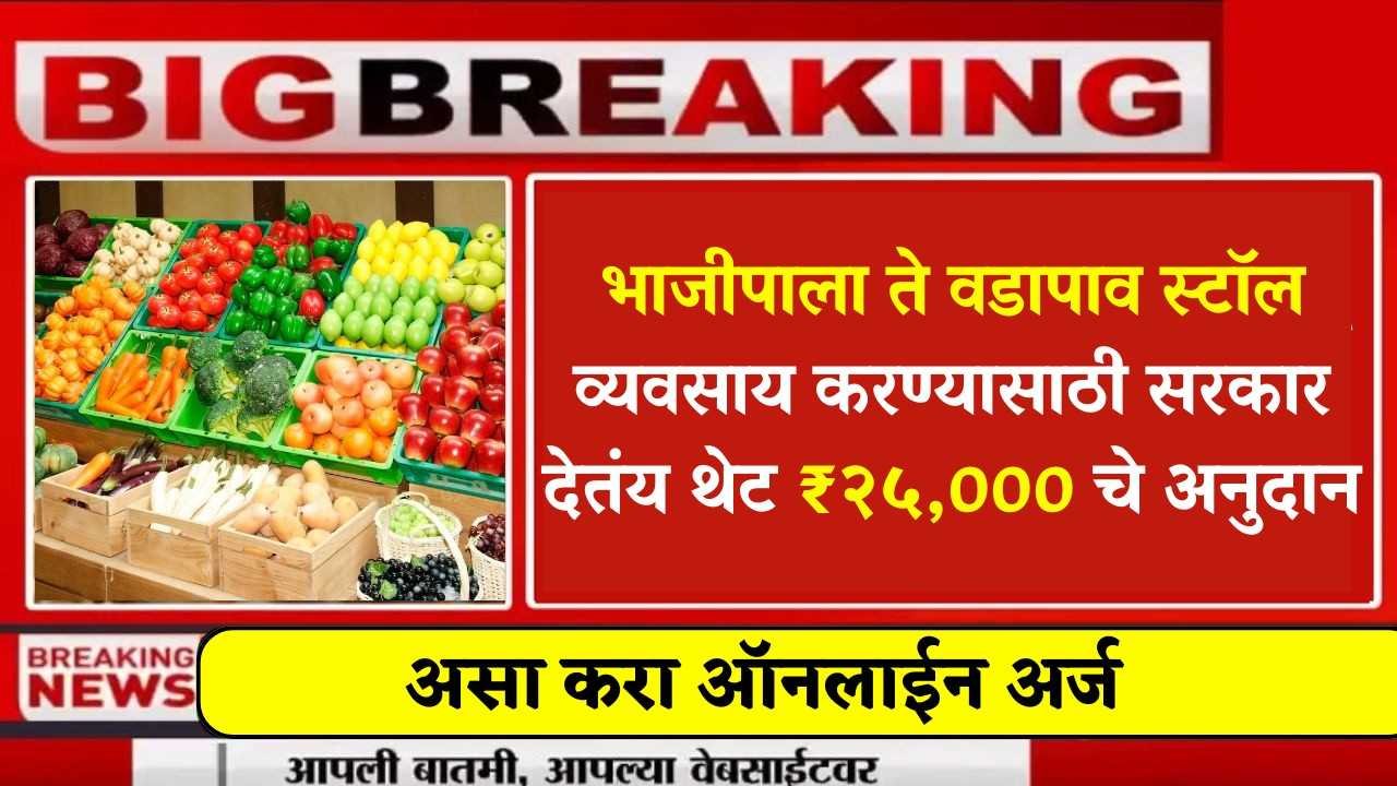 भाजीपाला ते वडापाव स्टॉल व्यवसाय करण्यासाठी सरकार देतंय थेट ₹२५,००० चे अनुदान , असा करा अर्ज