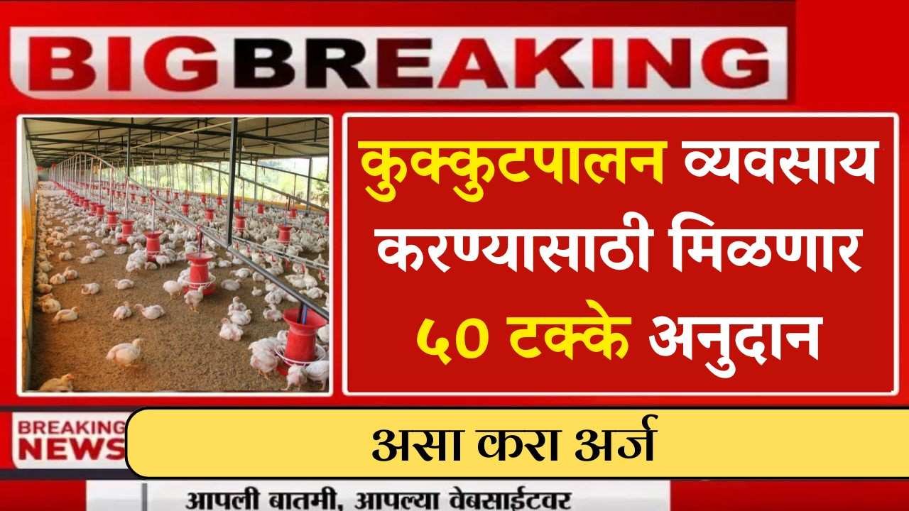 कुक्कुटपालन व्यवसाय करण्यासाठी मिळणार ५० टक्के अनुदान , असा करा अर्ज